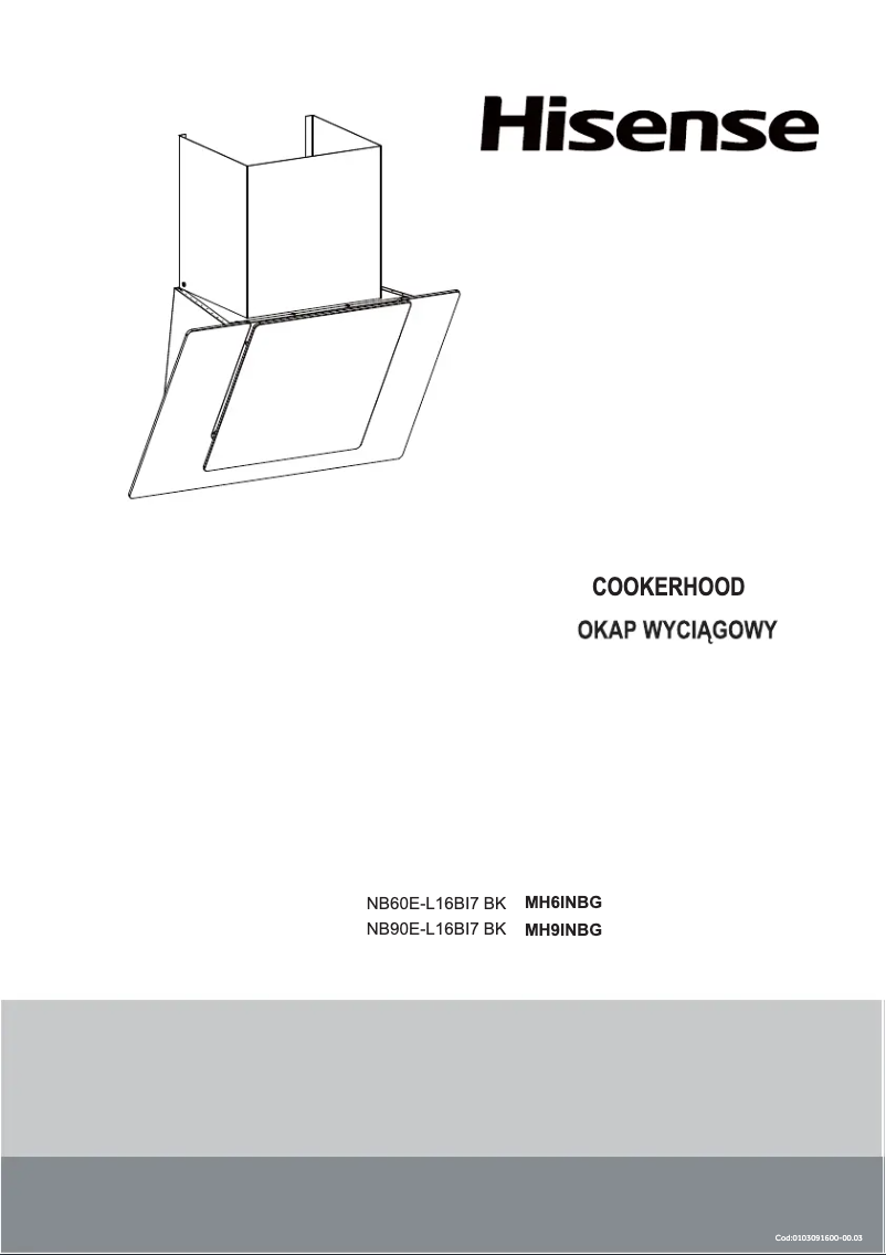 Page 1 de la notice Manuel utilisateur Hisense MH6INBG