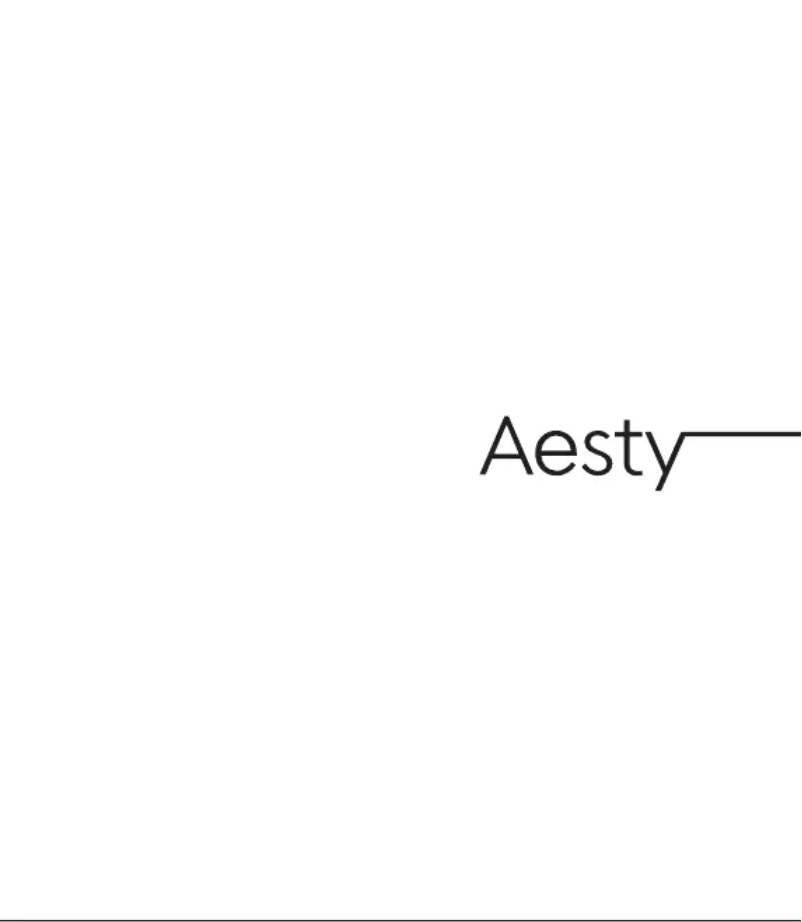 Page 1 de la notice Manuel utilisateur Aesty Dual Heater