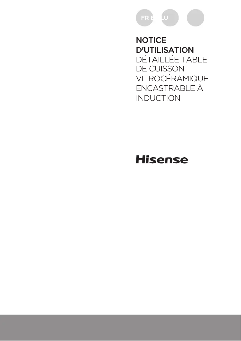 Page 1 of the manual User Manual Hisense I6456C