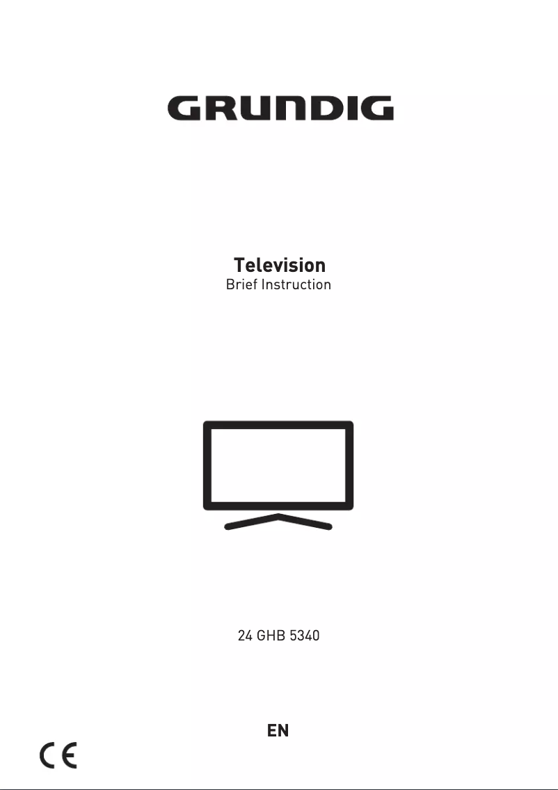 Page 1 de la notice Manuel utilisateur Grundig 24 GHB 5340