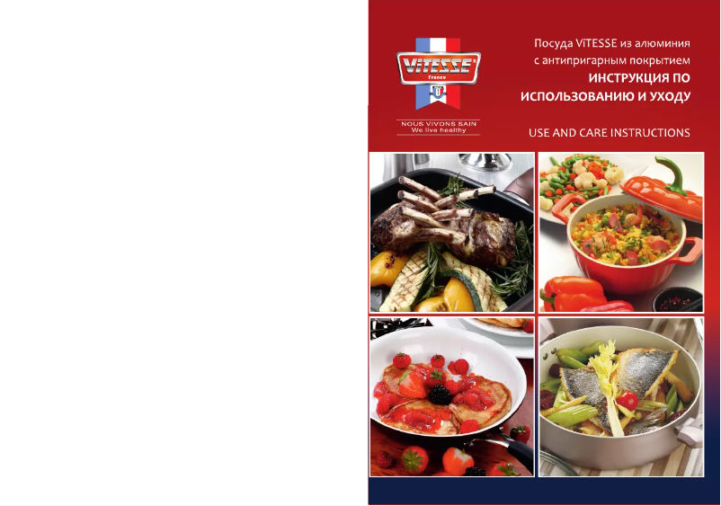 Page 1 de la notice Manuel utilisateur ViTESSE VS-2219