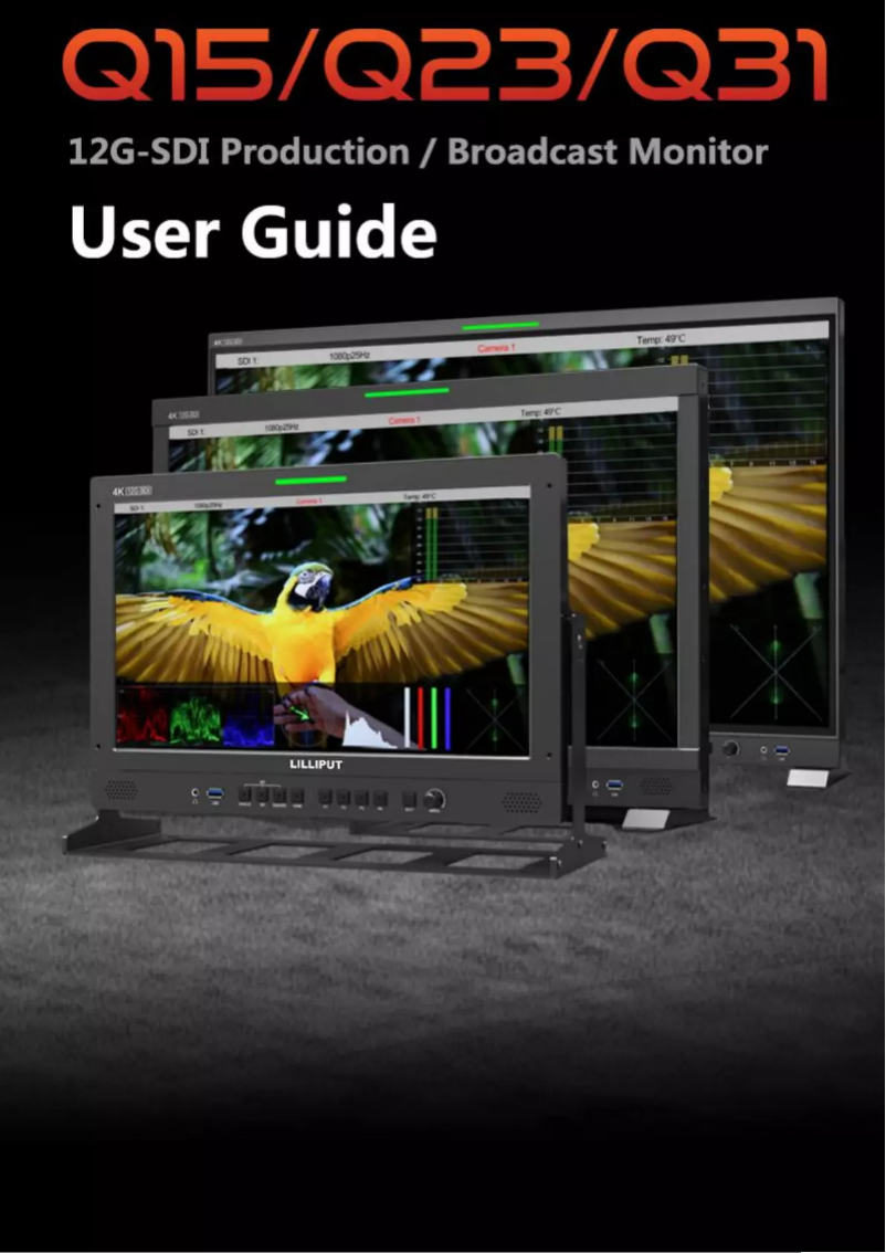 Page 1 de la notice Manuel utilisateur Lilliput Q31