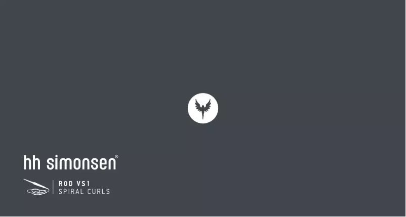 Page 1 de la notice Manuel utilisateur HH Simonsen ROD VS1