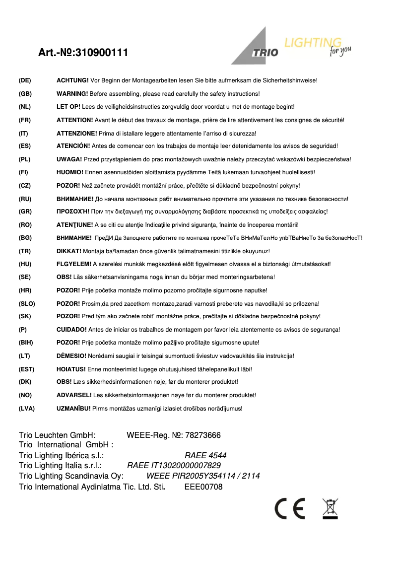 Page 1 de la notice Manuel utilisateur Trio Lighting Rotin 310900111