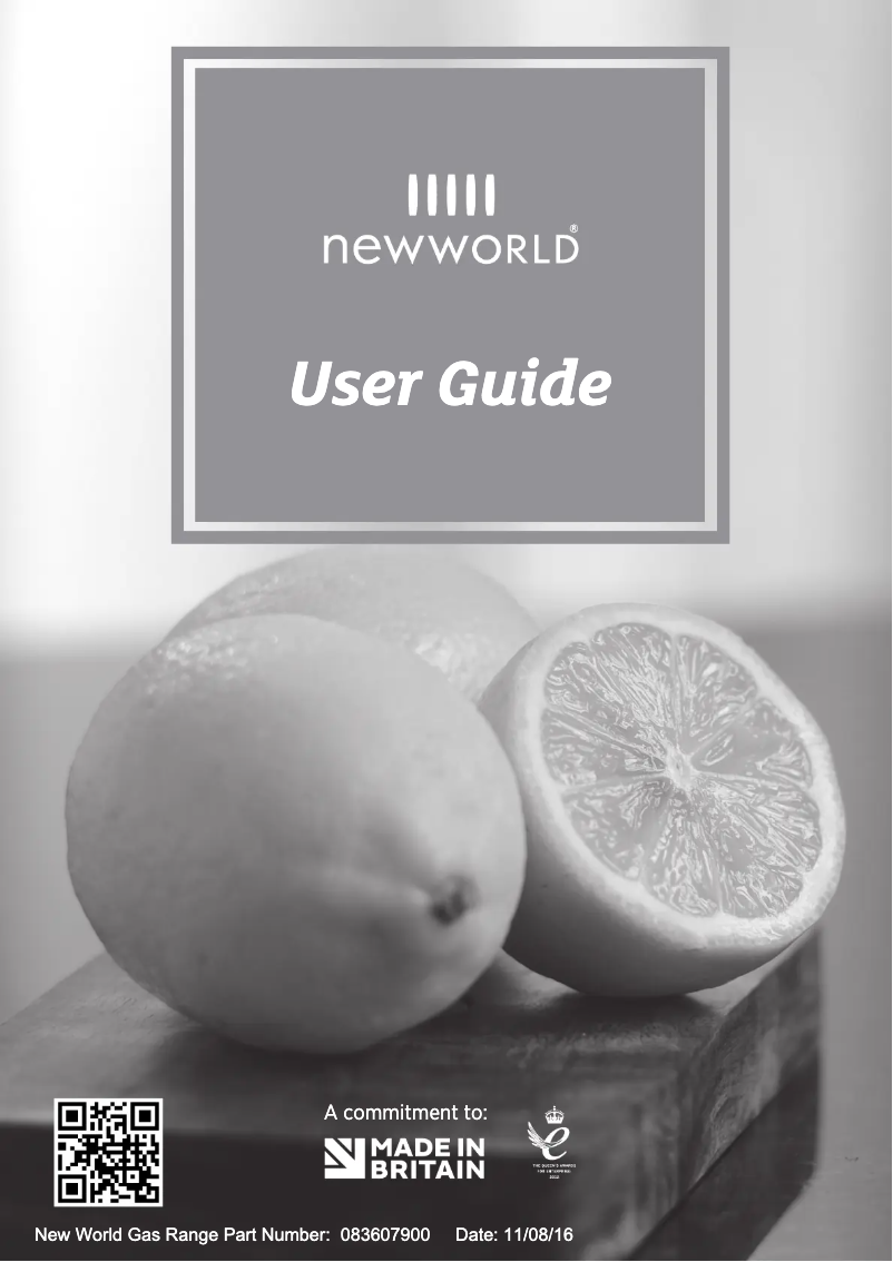 Page 1 de la notice Manuel utilisateur New World Vision 90G