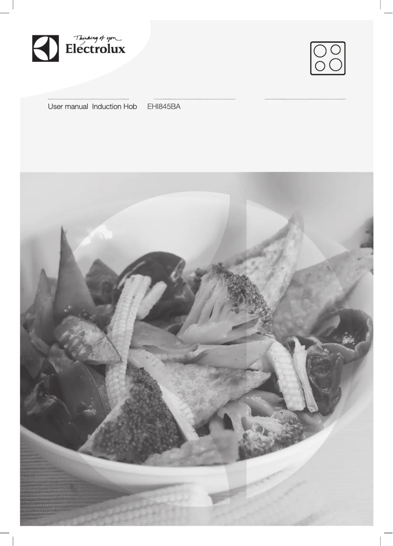 Image de la première page du manuel de l'appareil EHI845BA