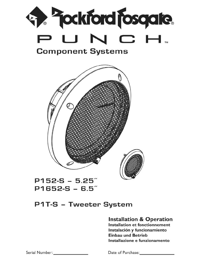 Page n°1 - Manuel utilisateur Rockford Fosgate Punch P1T-S