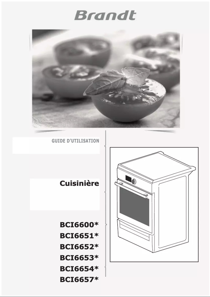 Page n°1 - Manuel utilisateur Brandt BCI6600W
