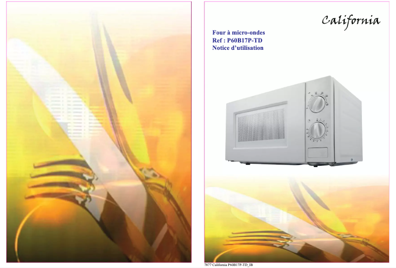 Image de la première page du manuel de l'appareil P60B17P-TD
