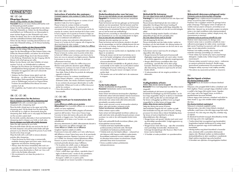 Page n°1 - Manuel utilisateur Ernesto IAN 103529