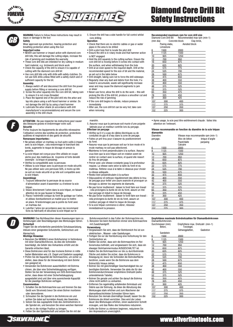 Page n°1 - Manuel utilisateur Silverline 598433