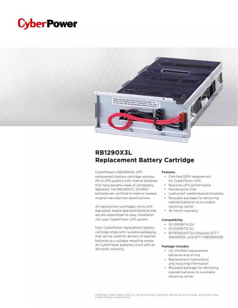Image de la première page du manuel de l'appareil RB1290X3L
