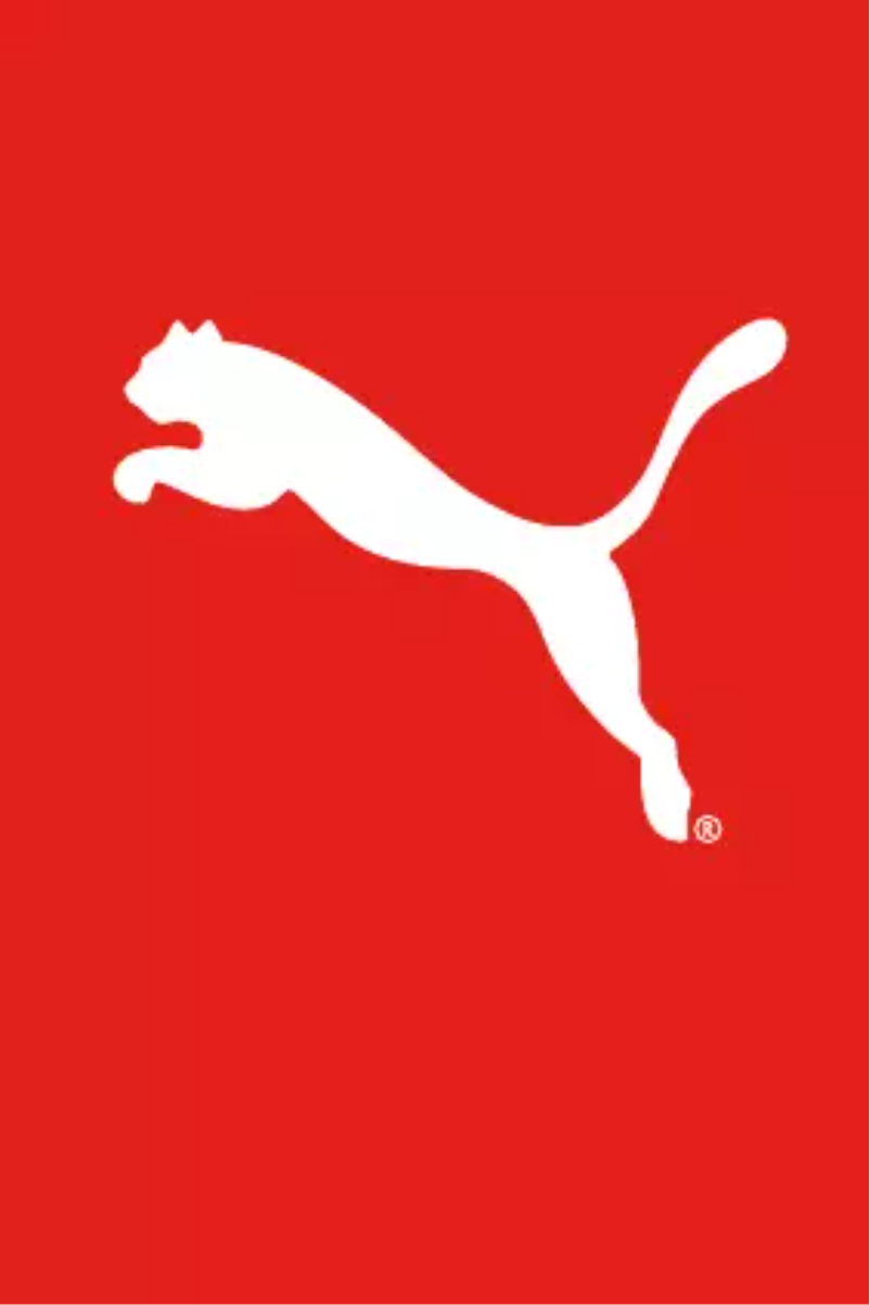 Page 1 de la notice Manuel utilisateur Puma Form