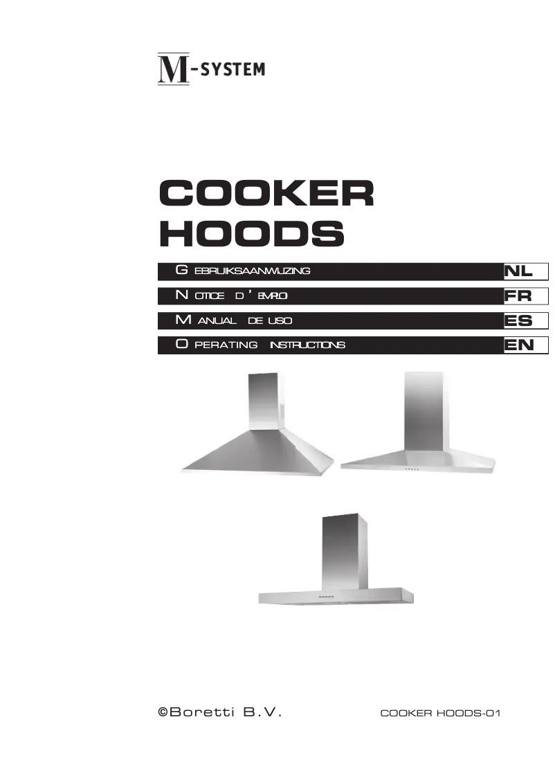 Page 1 de la notice Manuel utilisateur M-System MSPK 601