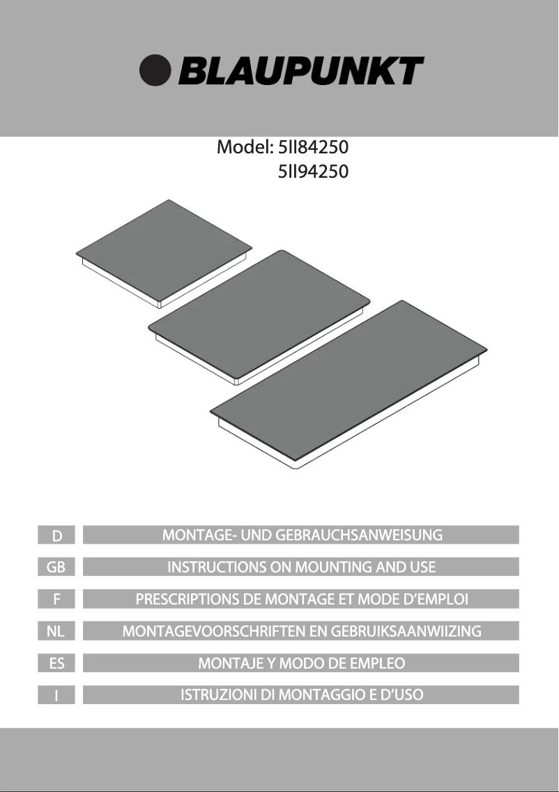 Página 1 del manual Manual de usuario Blaupunkt 5II94250