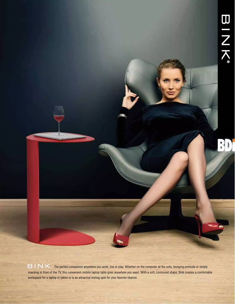 Page 1 de la notice Fiche technique BDI Bink 1025