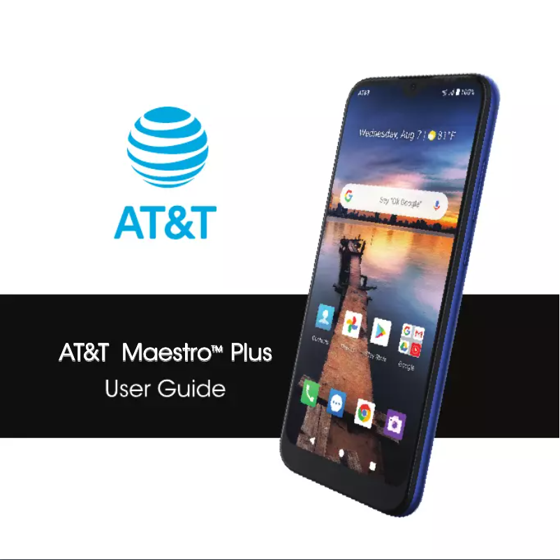 Image de la première page du manuel de l'appareil Maestro Plus