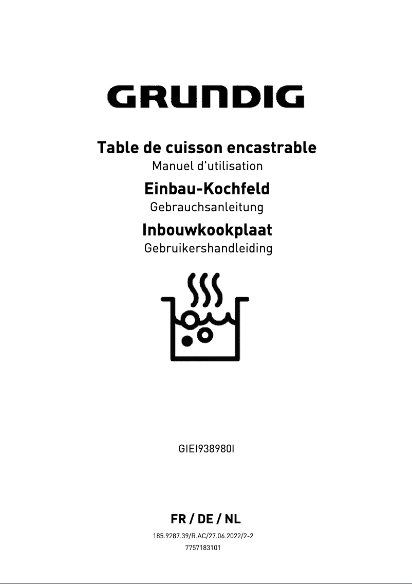 Página 1 del manual Manual de usuario Grundig GIEI938980I