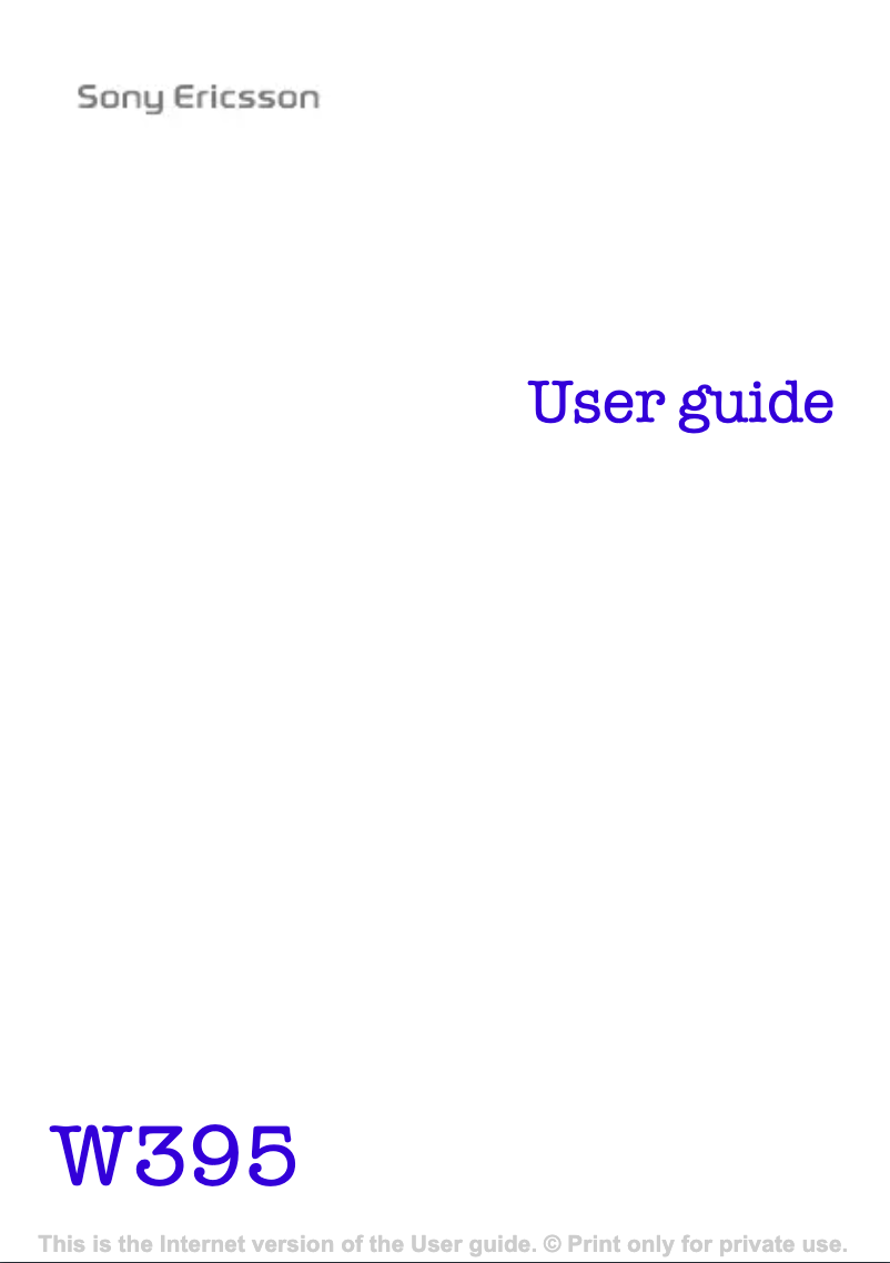 Page 1 de la notice Manuel utilisateur Sony W395