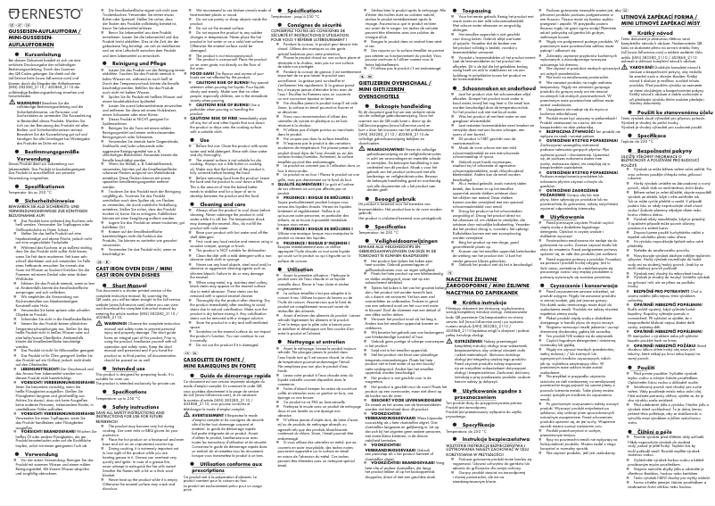 Page 1 de la notice Manuel utilisateur Ernesto HG09173A