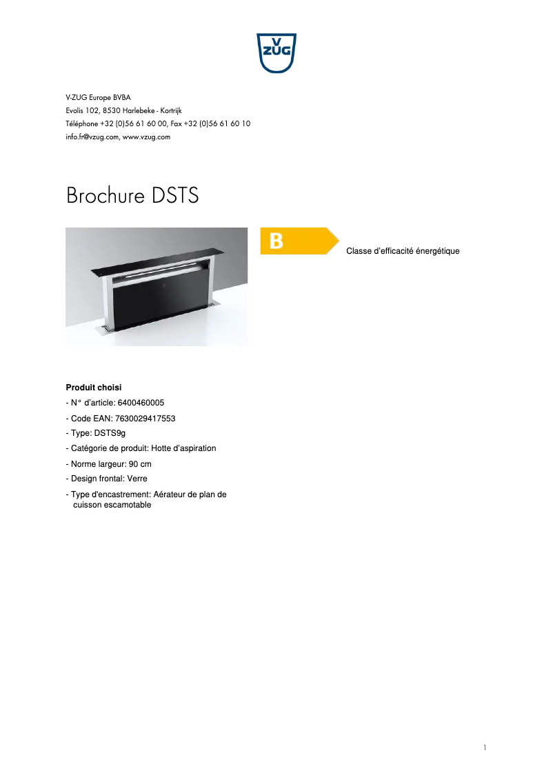 Image de la première page du manuel de l'appareil DSTS