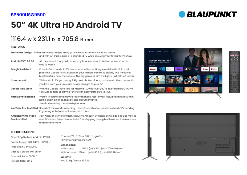 Página 1 del manual Ficha técnica Blaupunkt BP500USG9500