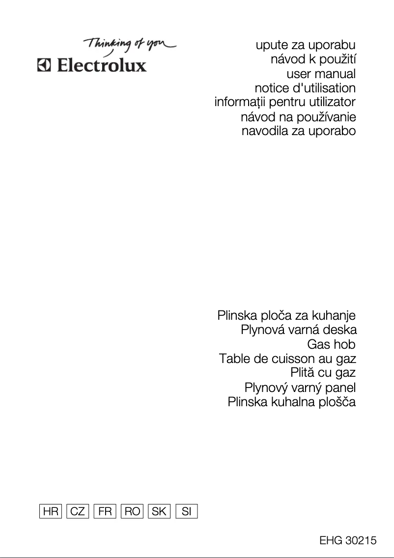 Page 1 de la notice Manuel utilisateur Electrolux EHG30215X