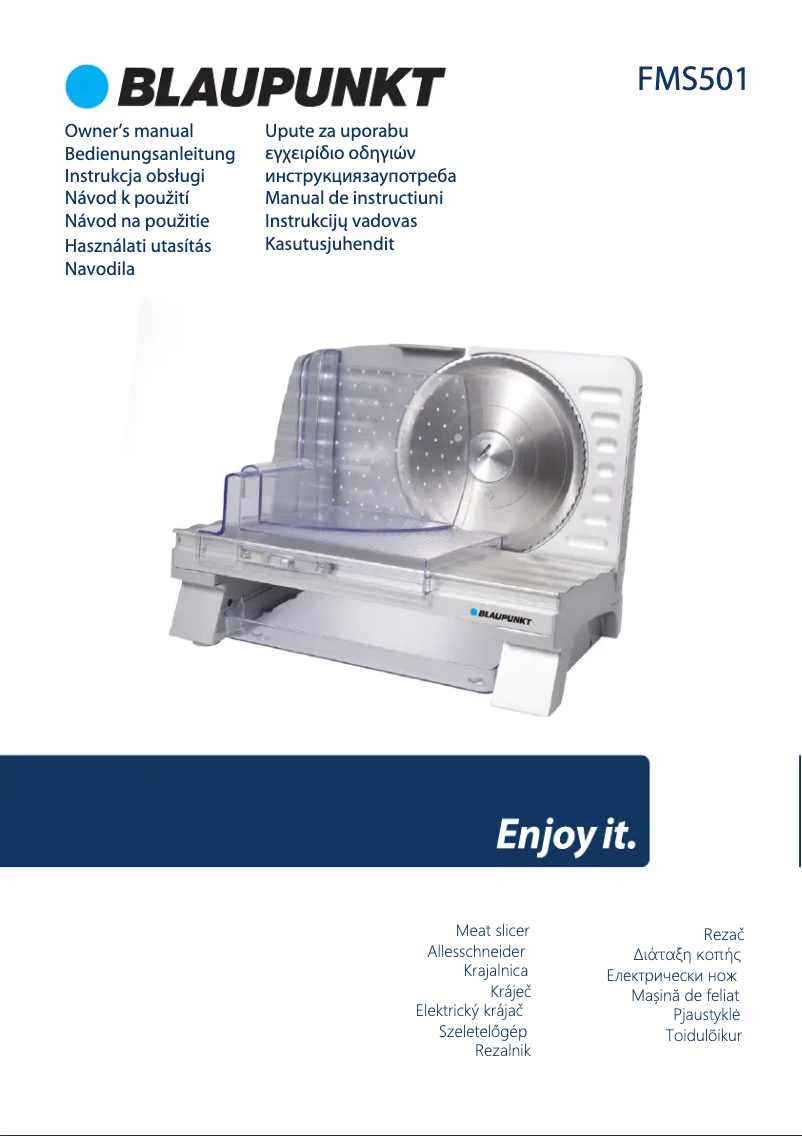Page n°1 - Manuel utilisateur Blaupunkt FMS501