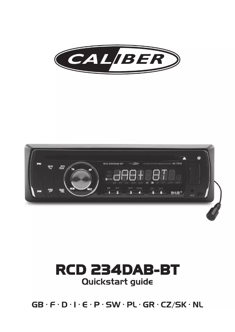 Image de la première page du manuel de l'appareil RMD234DBT