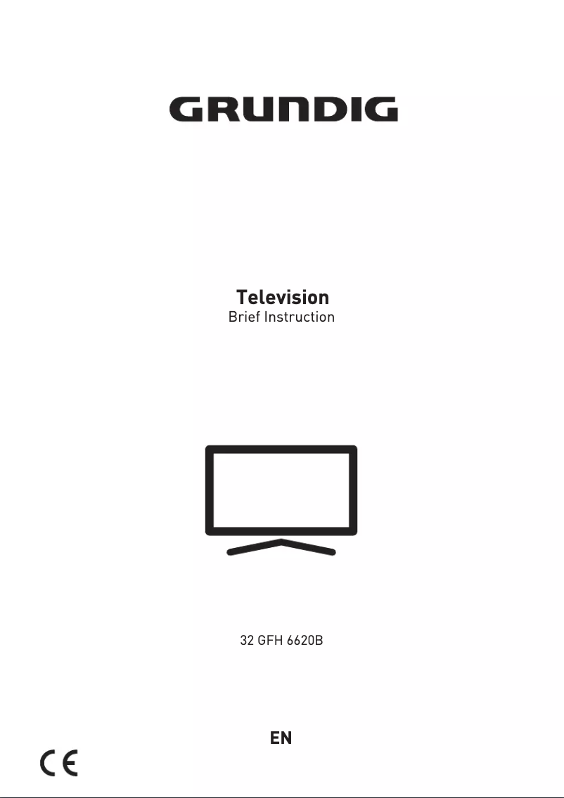 Página 1 del manual Manual de usuario Grundig 32 GFH 6620B