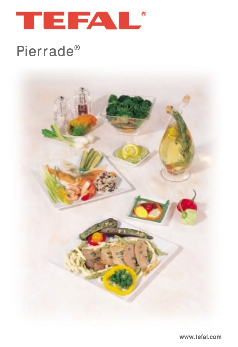 Image de la première page du manuel de l'appareil Pierrade Compact