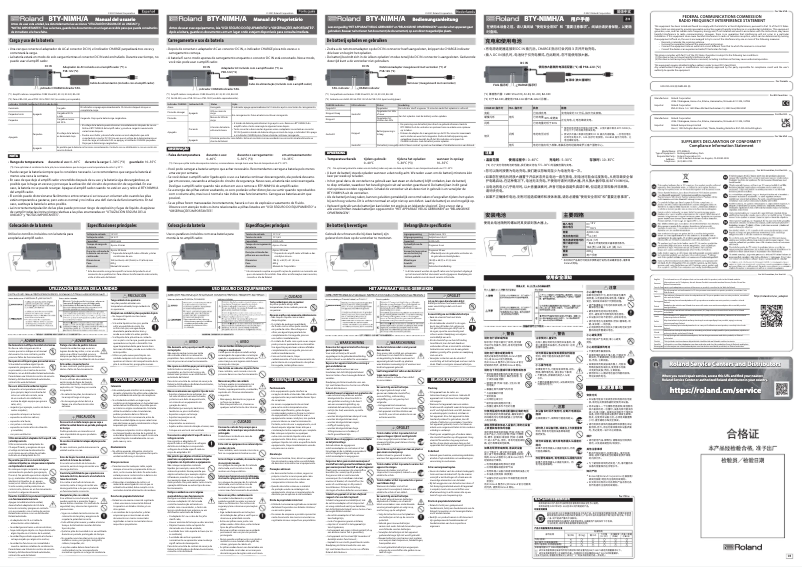Page 1 de la notice Manuel utilisateur Roland BTY-NIMH/A