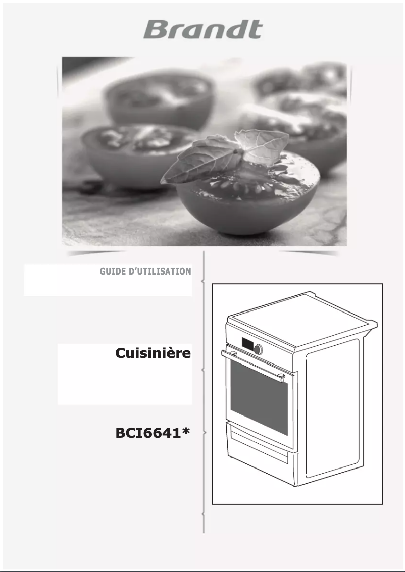 Page 1 de la notice Mode d'emploi Brandt BCI6641W