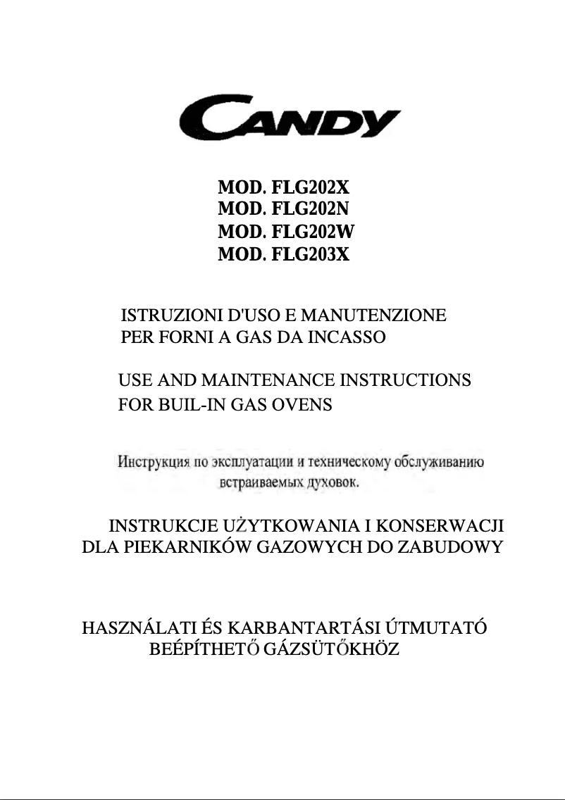Image de la première page du manuel de l'appareil FLG 202 X