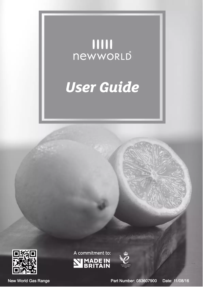Page n°1 - Manuel utilisateur New World Vision 100G