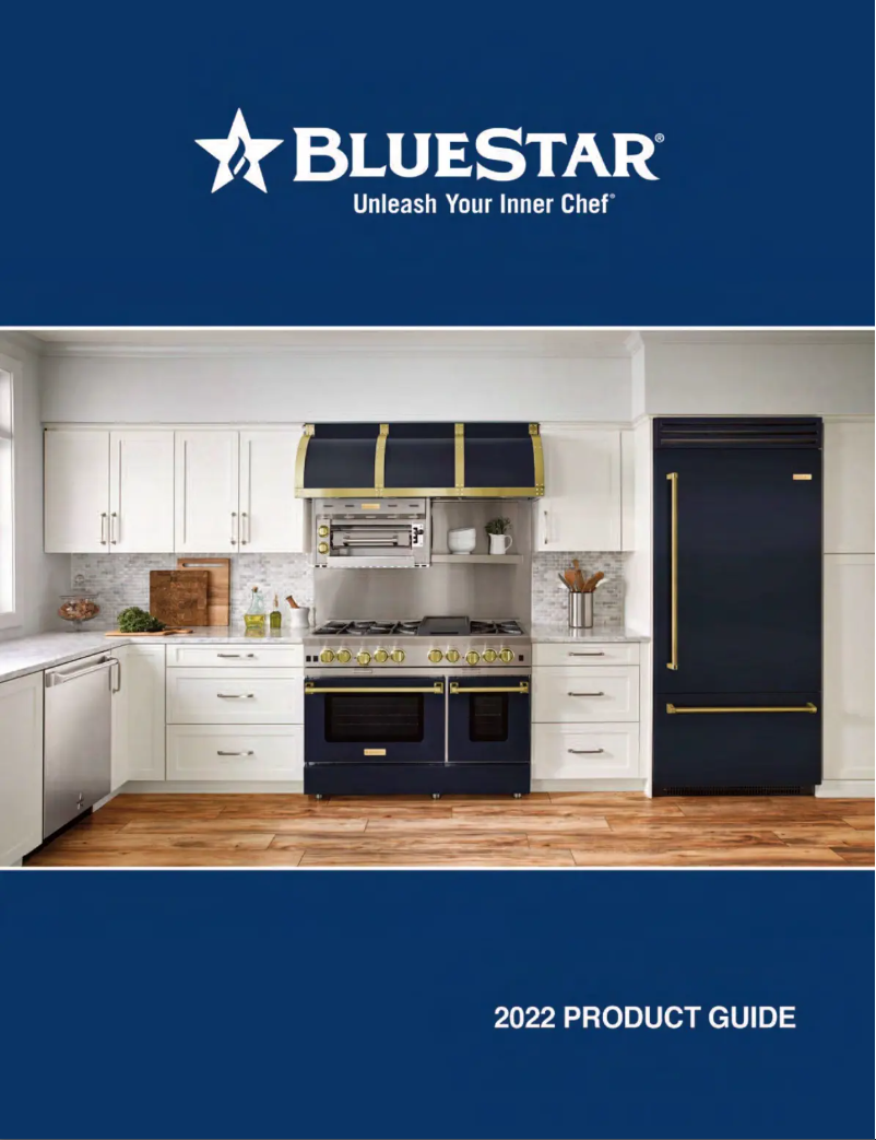 Page n°1 - Brochure BlueStar BIR30L0