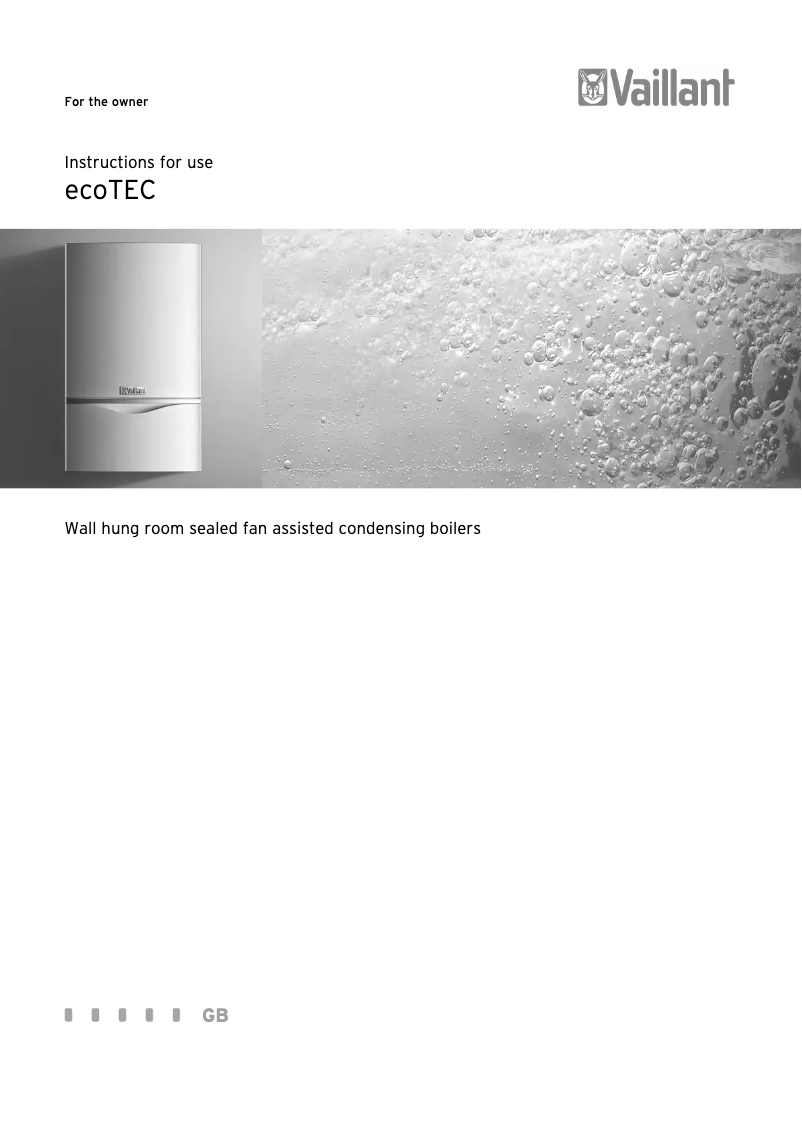 Image de la première page du manuel de l'appareil EcoTEC exclusiv 146