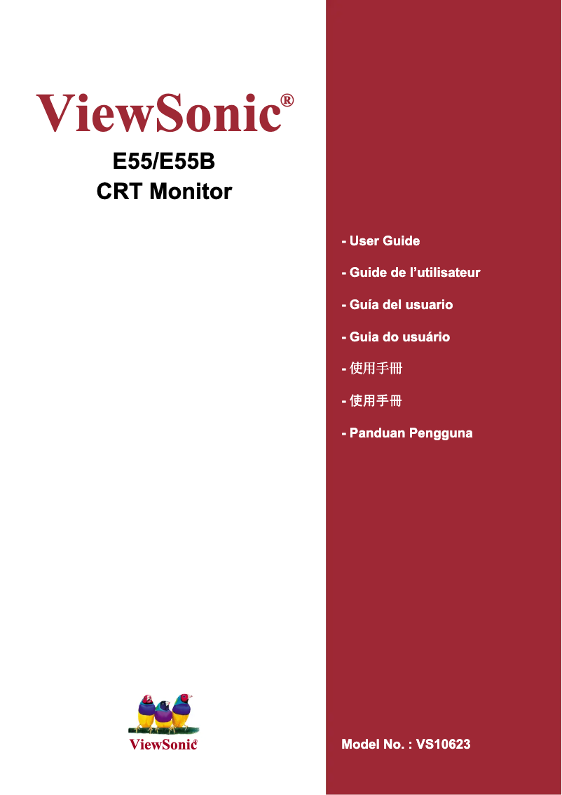 Image de la première page du manuel de l'appareil E55