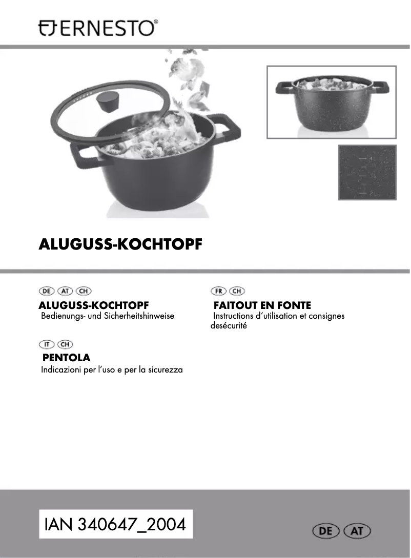 Page 1 de la notice Manuel utilisateur Ernesto HG04351