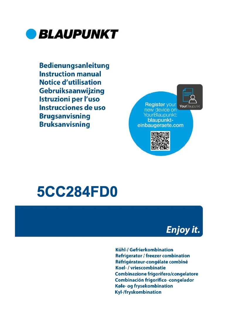 Page n°1 - Guide d'installation Blaupunkt 5CC284FD0