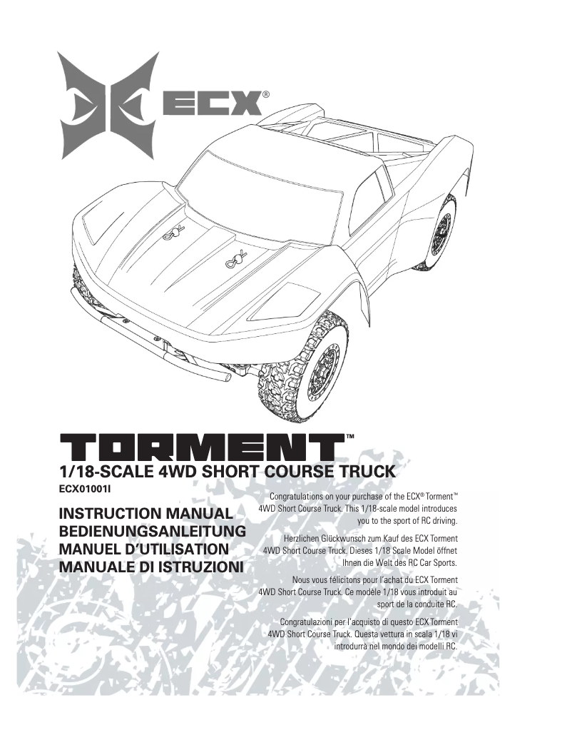 Image de la première page du manuel de l'appareil Torment ECX01001