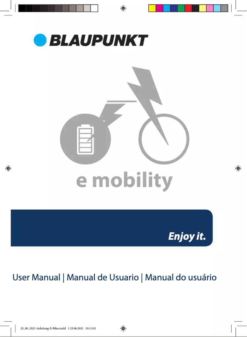 Page 1 de la notice Manuel utilisateur Blaupunkt Clemson