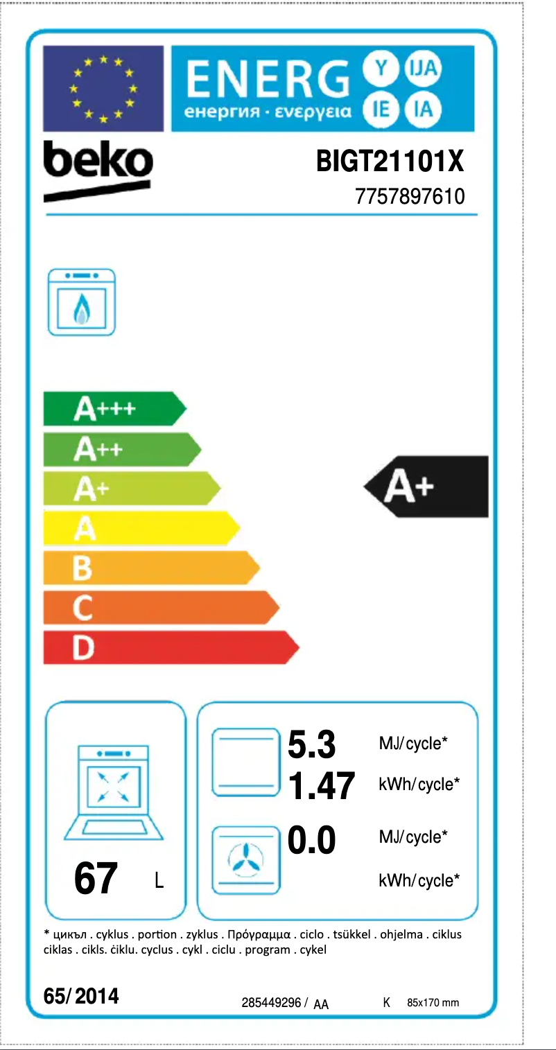 Image de la première page du manuel de l'appareil BIGT21101X