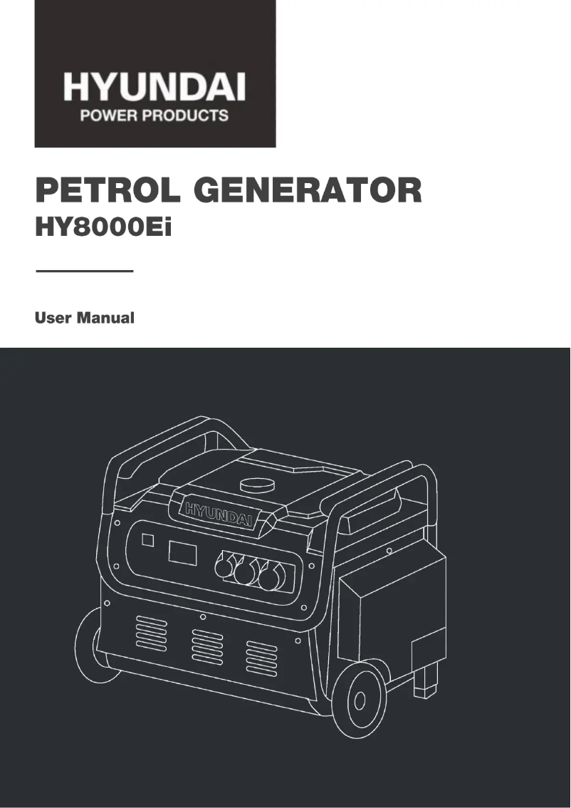 Page 1 de la notice Manuel utilisateur Hyundai HY8000Ei